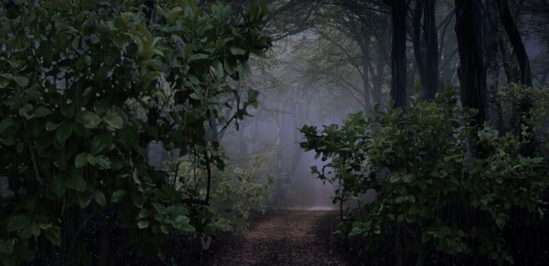 In the Woods - a Digital Art by Anna Radzimska